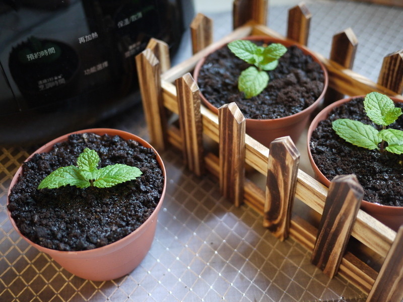 ����â���Ÿ�[������΢���]������