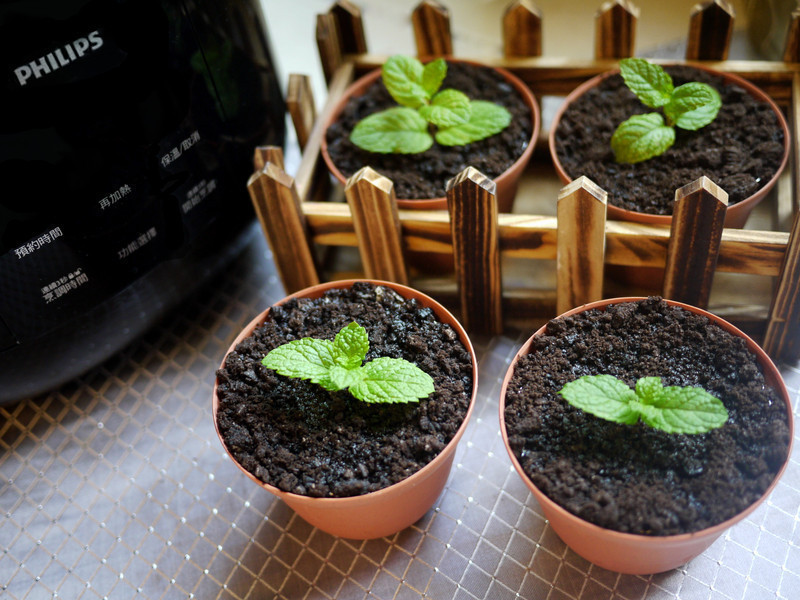 ����â���Ÿ�[������΢���]������