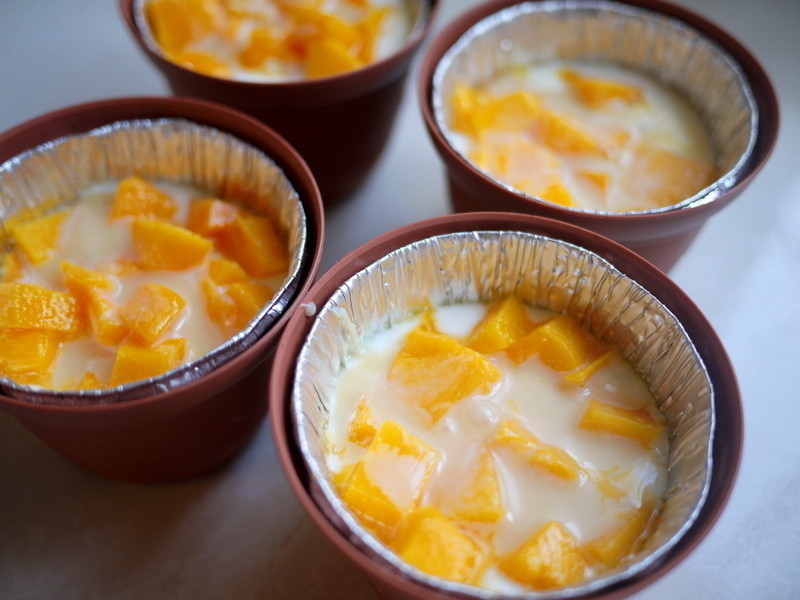 ����â���Ÿ�[������΢���]������