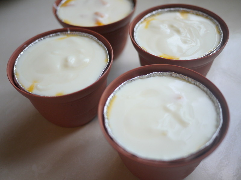 ����â���Ÿ�[������΢���]������