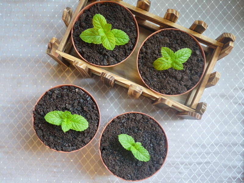 ����â���Ÿ�[������΢���]������