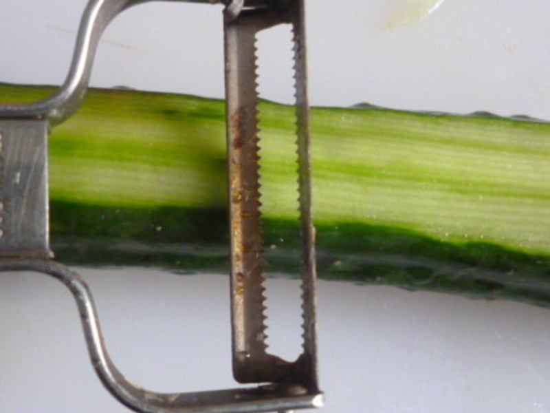 ���ͽ���ƹϾ�������