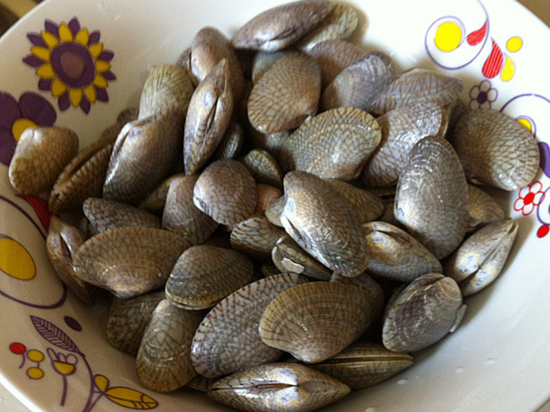 �ｪ�������ӡ������