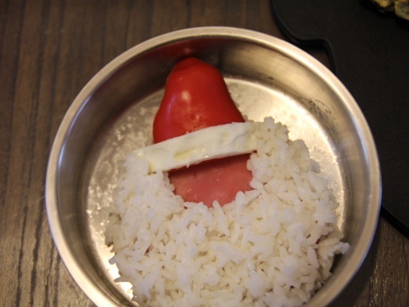 Kitty��-ʥ���Ϲ������ŵ�����