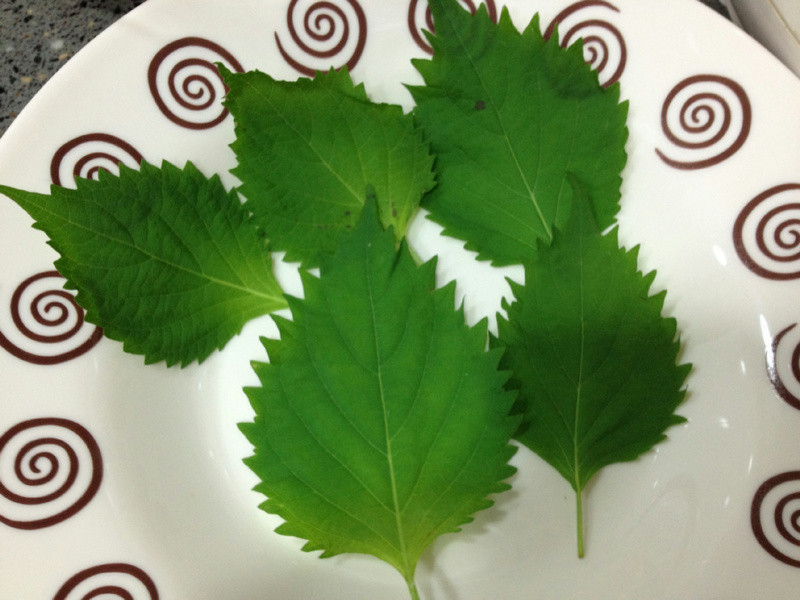 ������̫��С���ŵ�����