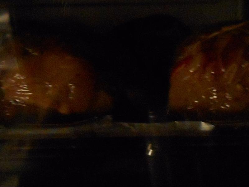 ������ţ��⎆�����ˤ��꣩������