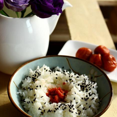 ��ʽ��÷�ݷ�������