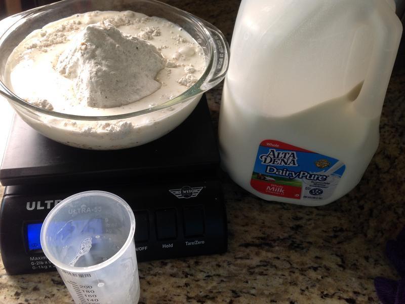 ��������Ƿ���?!!!������