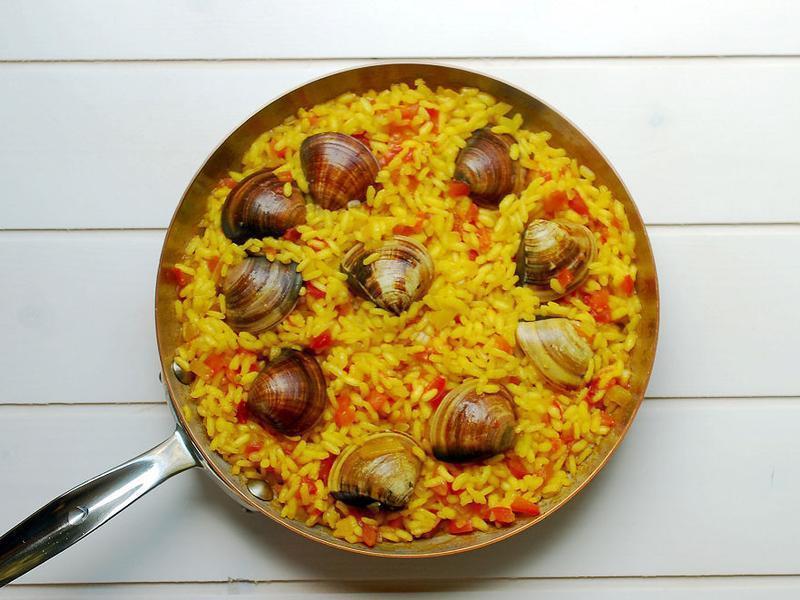 �����������ʷ���������