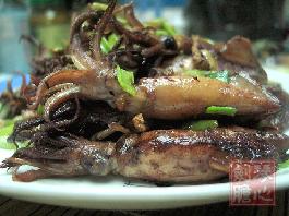 �ͱ�����������