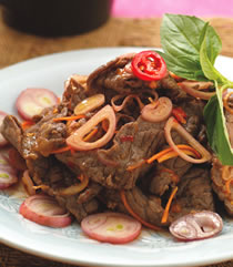 ���賴ţ�������