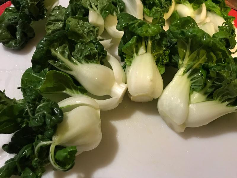 ����С���������