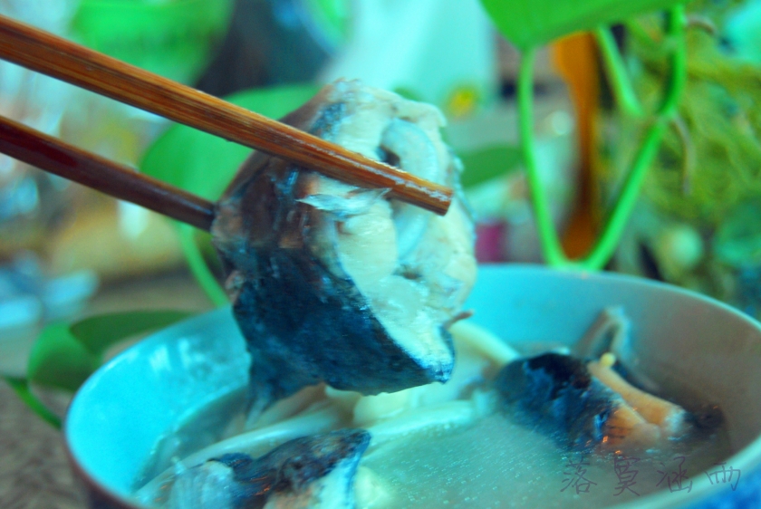 ��ź���������