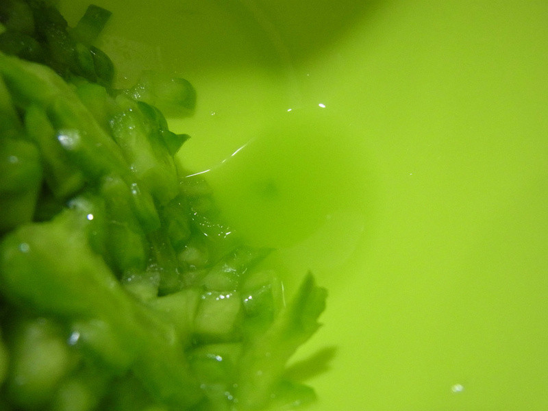 ����Ŀ�ϼ嵰������