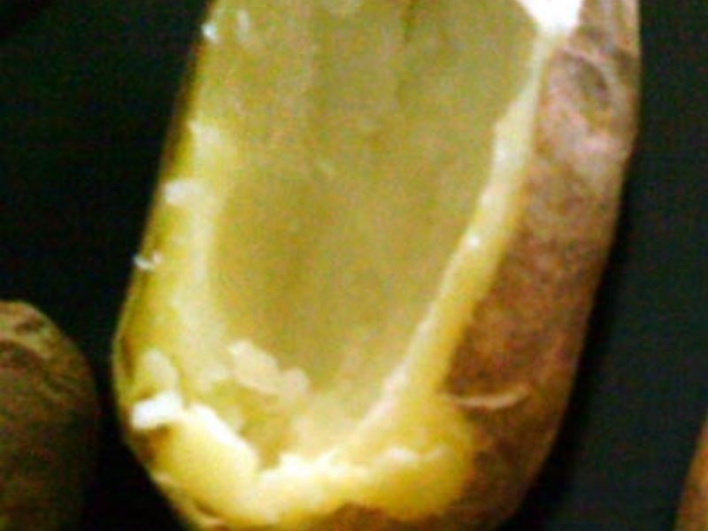 ������ʼǡ��h����������������