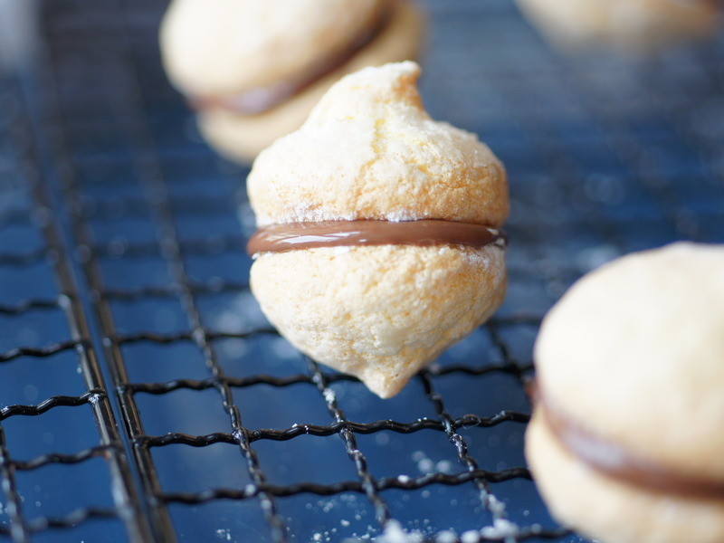 ��ʽ����С��������