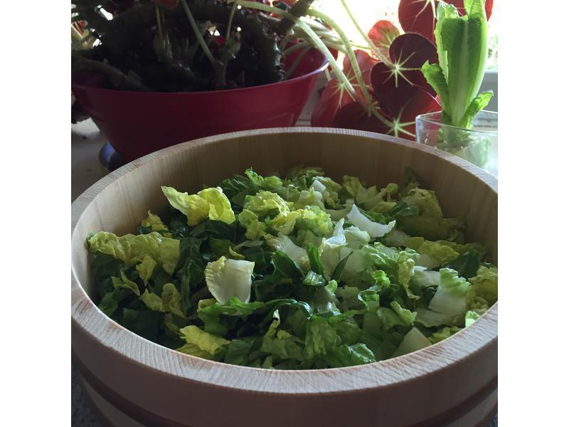 �ͷ�`��������ɳ��������