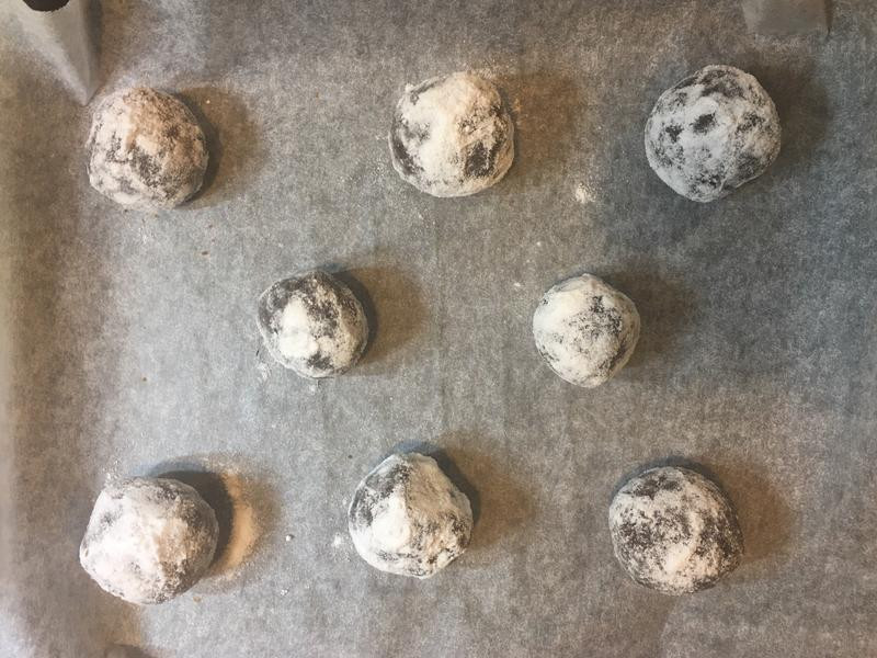 �ɿ���Ĩ��ѩ�������