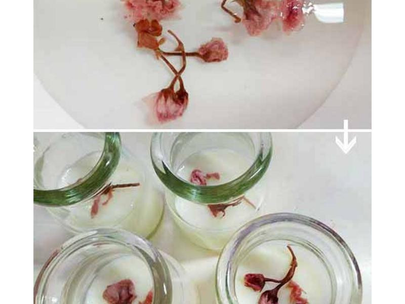 ӣ���̶�������