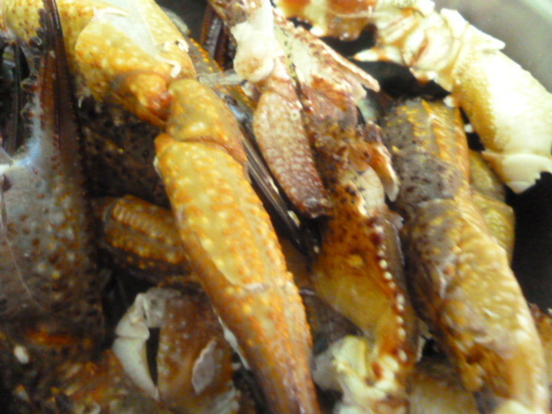 ����з�ŵ�����