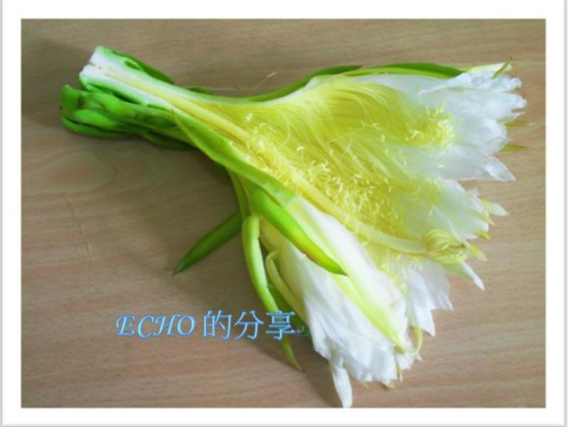 ����������:������������˿������