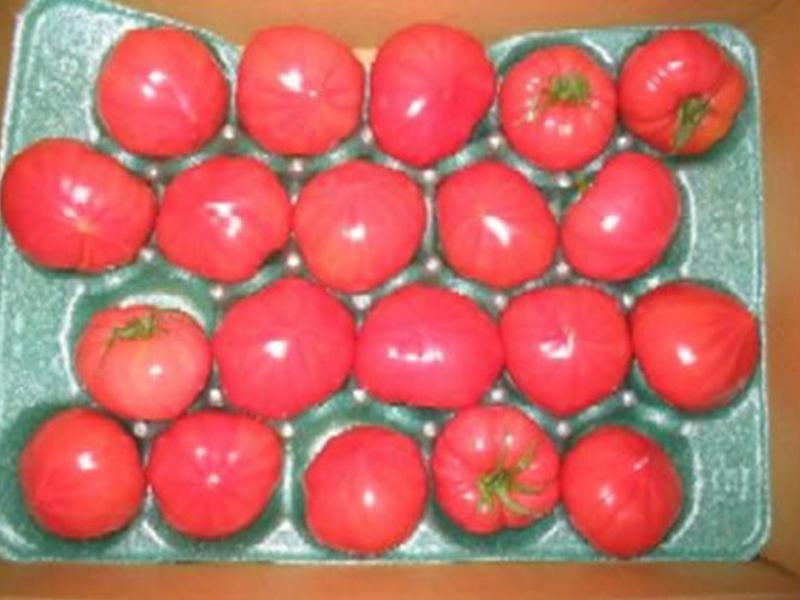 �����⽴�������