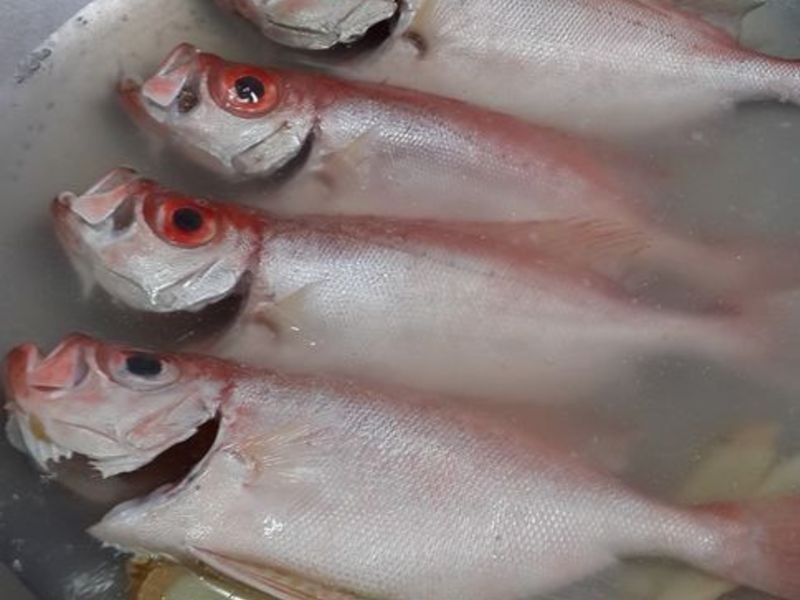 ������(��Ŀ��)������������