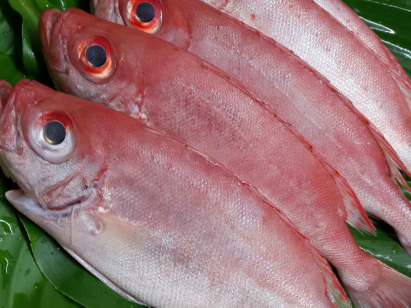 ������(��Ŀ��)������������