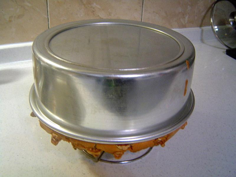 �㽶�ɿ������ҵ��������