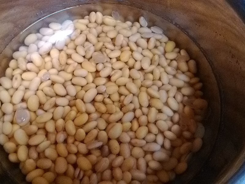 �����׺�֥�鶹��-���m�ӵ�����