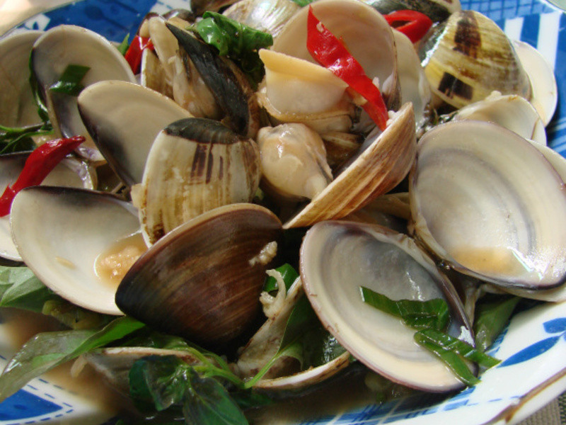 ���������۵�����