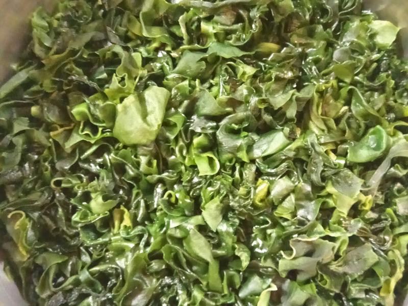 ��ʽ���躣��ѿ������