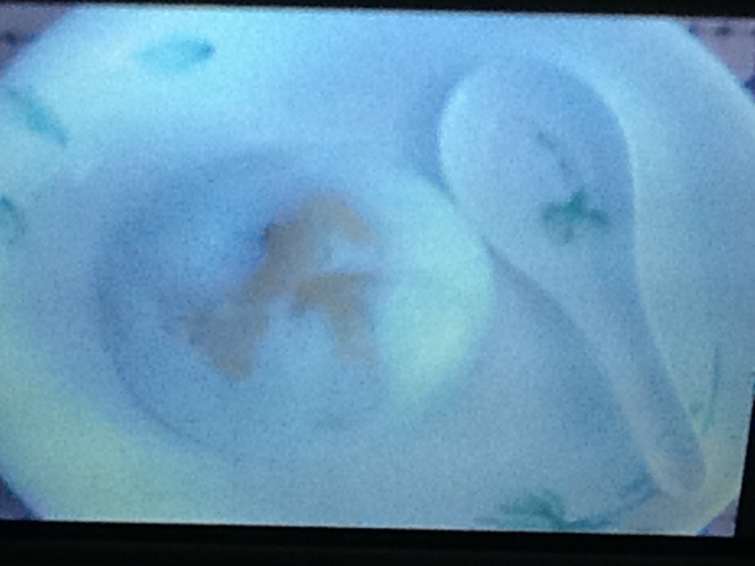 �����ţ�̱�ɳ������