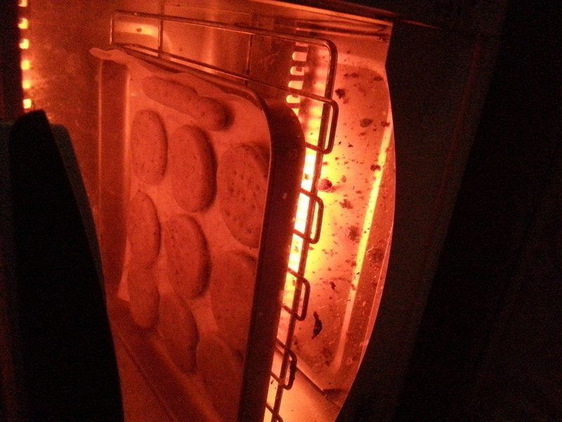 ˫ɫȦȦ��-С���������