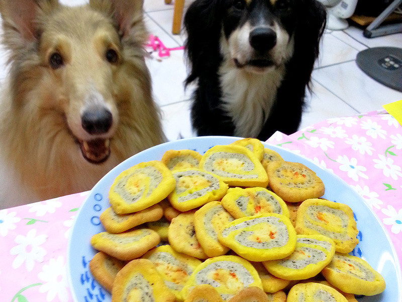 ˫ɫȦȦ��-С���������