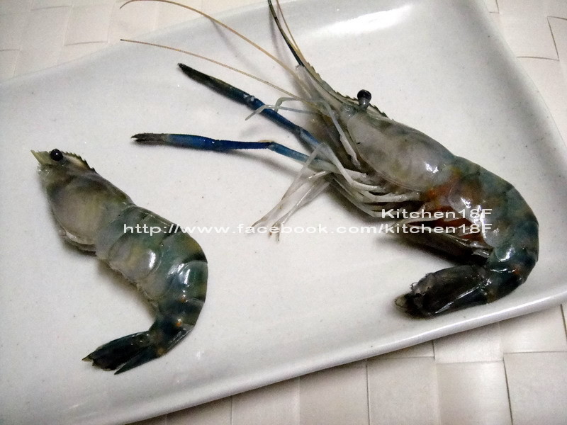 �ο�̩��Ϻ ����_��������������