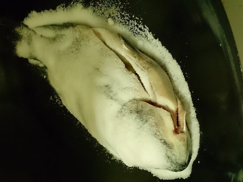 �ο��������