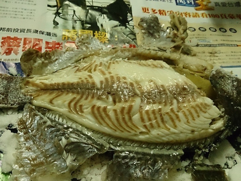 �ο��������