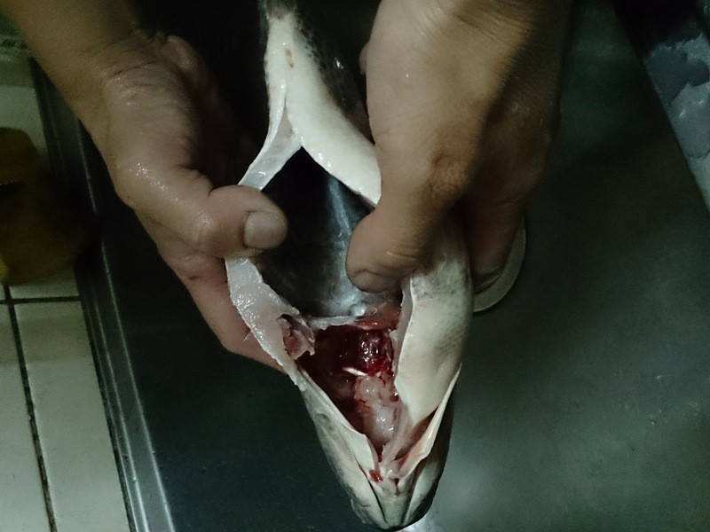 �ο��������