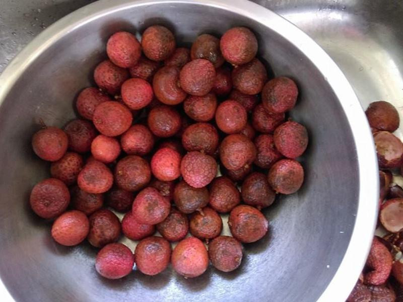 ������֦����С���������