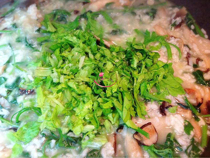 �����в��������