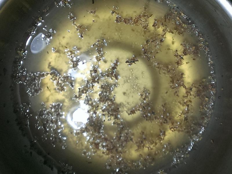 ���Ϻ����㡿��̫�� (Ŵ�׺���)������