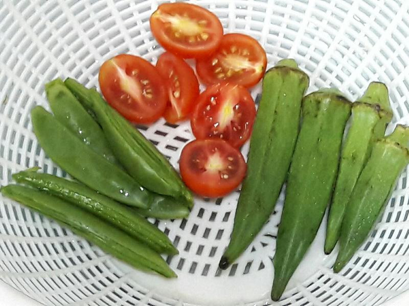 �����ʽ��ެ���⽴ŷķ��������