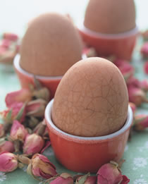 õ���̲走������