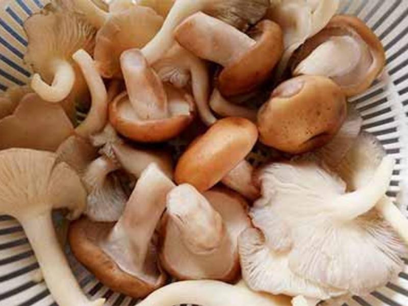 ��ζ���ι���������