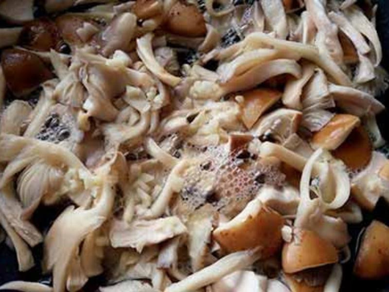 ��ζ���ι���������