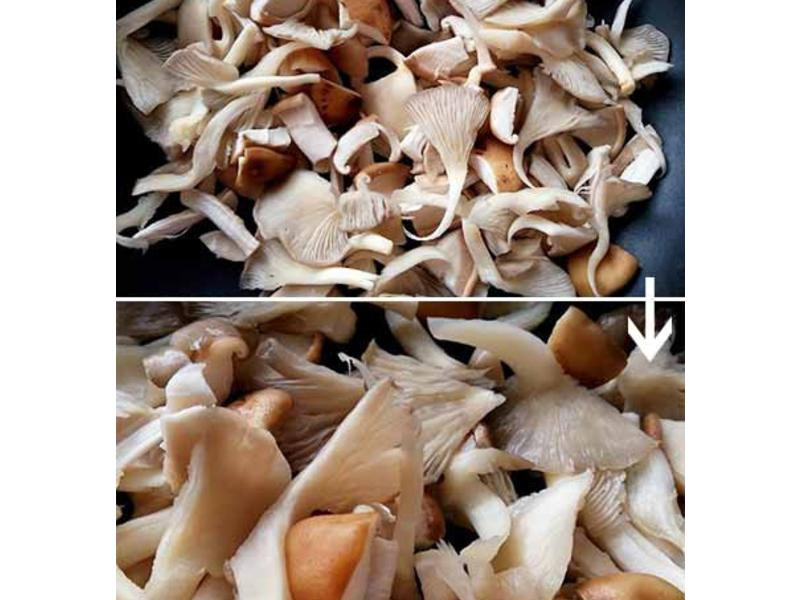 ��ζ���ι���������