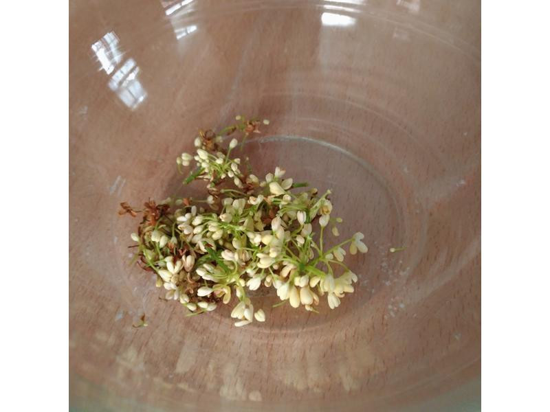 �����ֱ�������