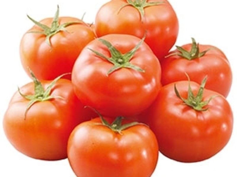 ެ�����������ɳ��������