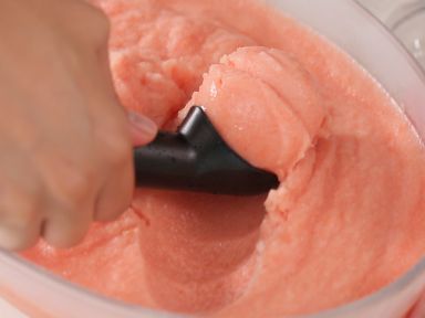 ��������ѩ�������